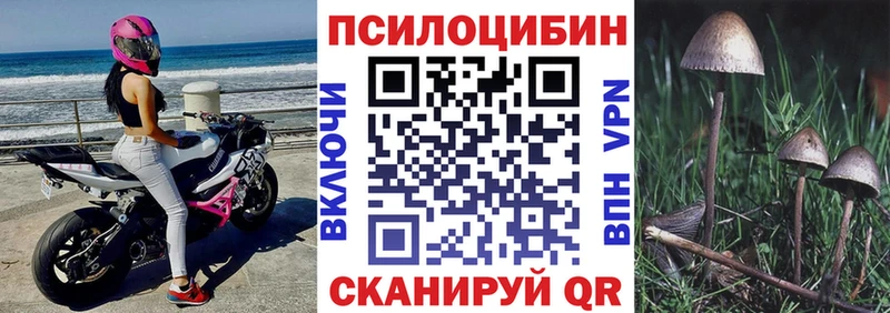 даркнет Telegram  Харовск  Псилоцибиновые грибы мицелий 