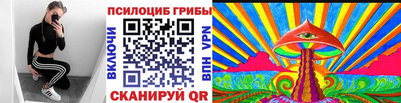 Псилоцибиновые грибы Cubensis Харовск
